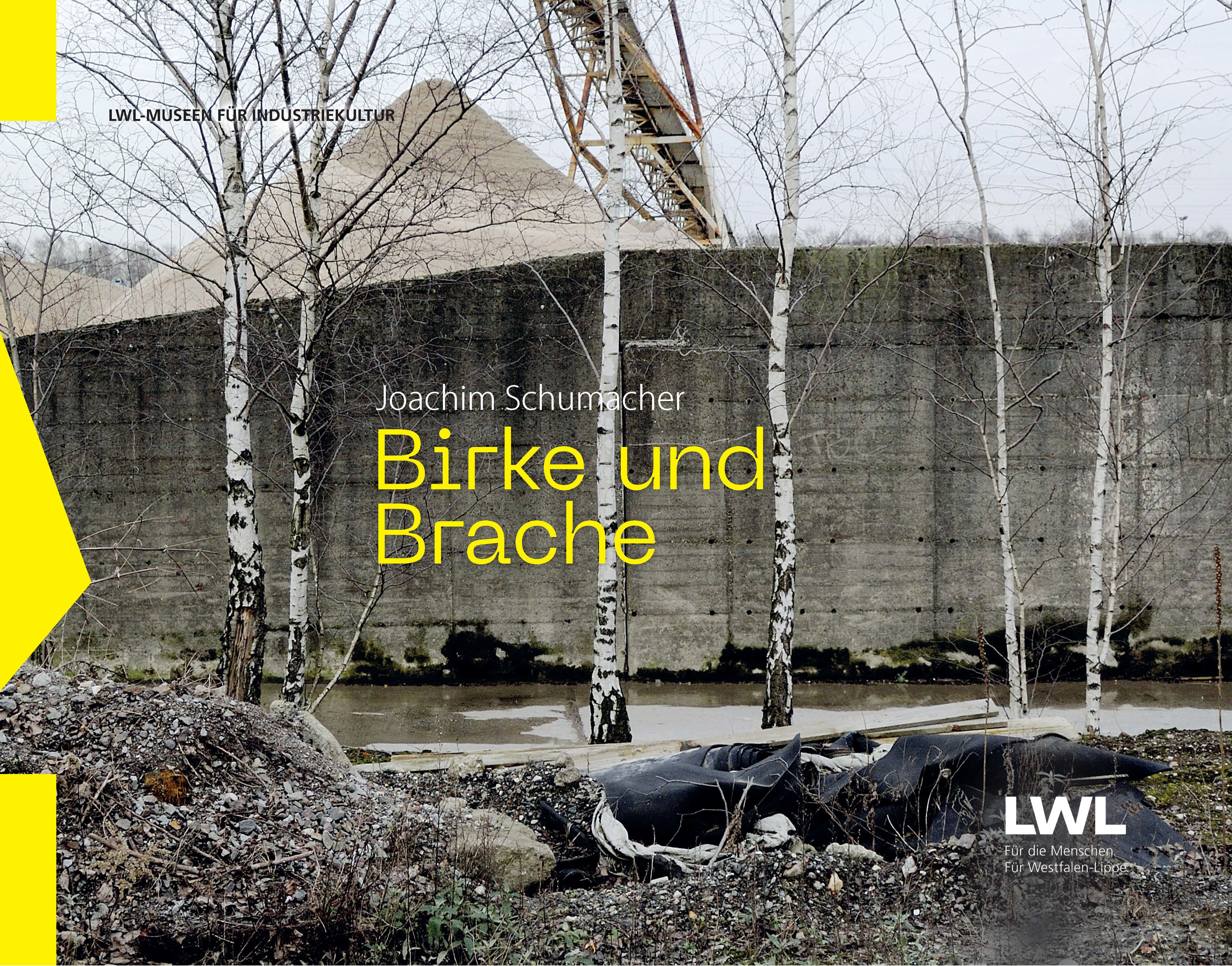Birke und Brache